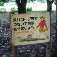 犬はロープ等でつないで散歩させましょうと記載された公園の看板の写真
