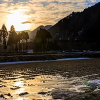 雪解けの季節、夕焼けに染まる山里の田んぼの写真