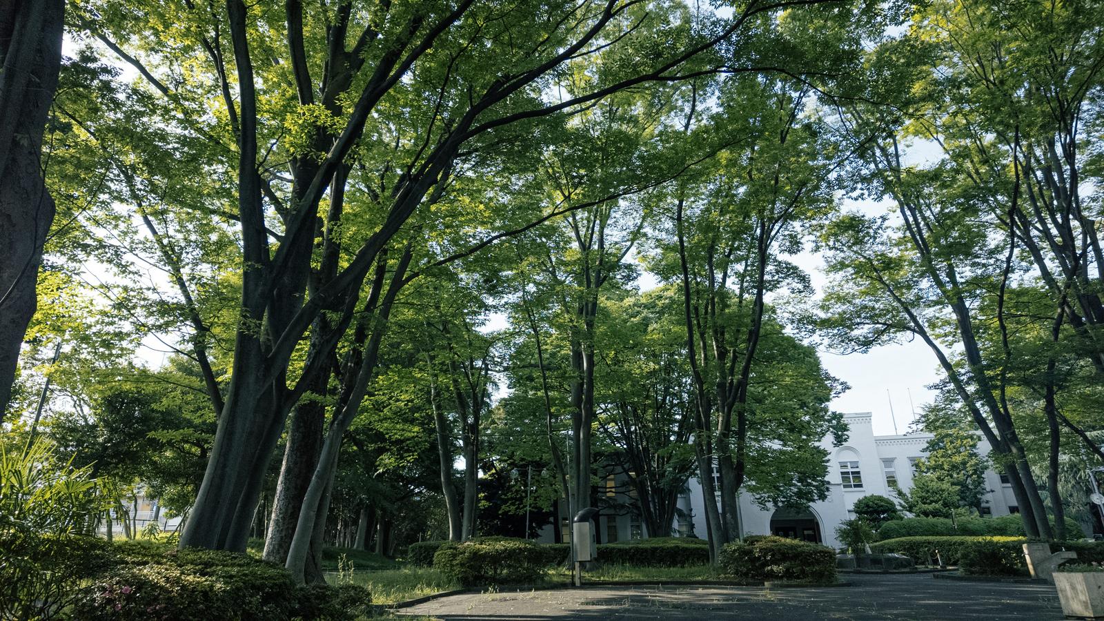 北区中央公園の木々と文化センター外観