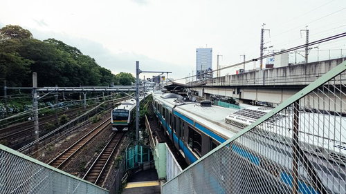 王子駅を走る京浜東北線と湘南新宿ライン、駅舎に停車する列車