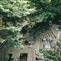 舟串橋から見下ろす音無親水公園の石段と石垣の写真