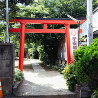 子安稲荷神社の鮮やかな赤い鳥居と参道の風景の写真