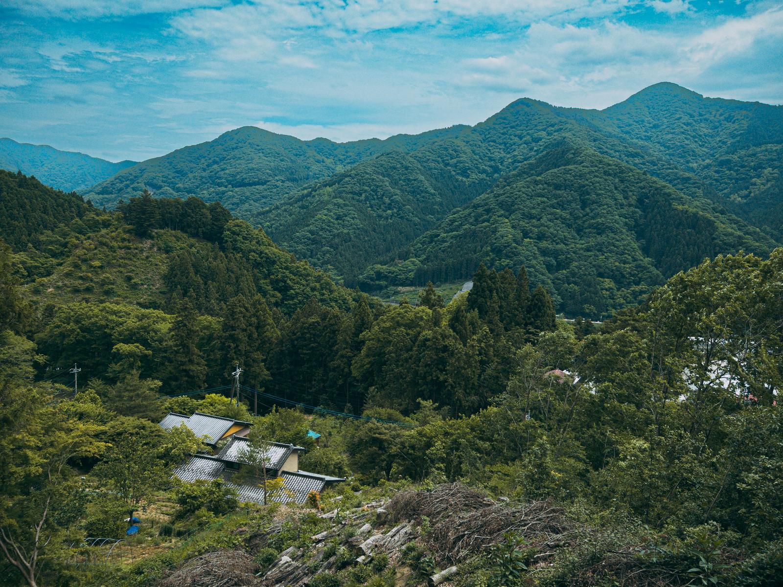 山奥の谷間に立つ集落の上空からの景色。緑の森に囲まれた小さな建物が見える。