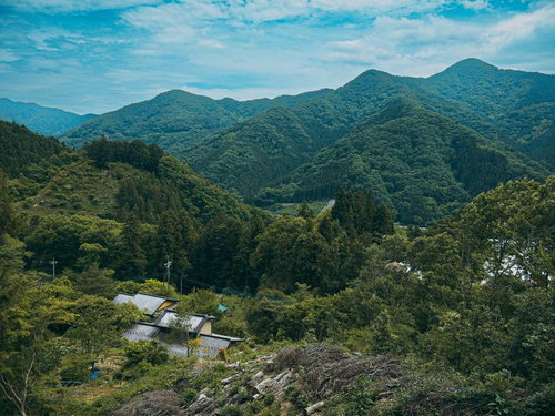山奥の暮らしを映す谷間の集落と緑の山々が織りなす山村風景