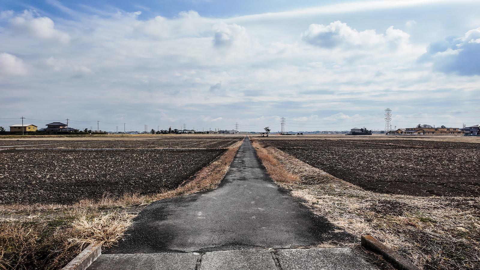 冬の農村を一直線に延びる農道