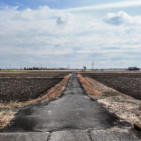冬の農村に延びる一直線の農道の写真