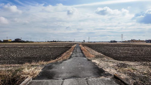 冬の農村に延びる一直線の農道