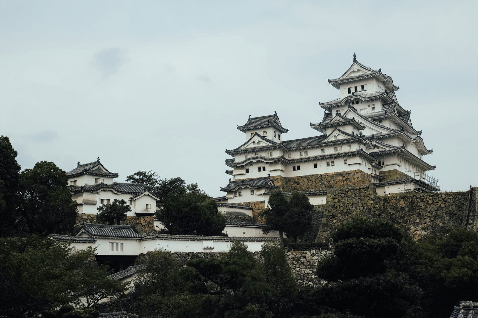 青空の下に佇む姫路城の白い天守群と周囲の緑の樹木