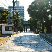 神社の石畳の参道を歩く少年達の散策風景の写真