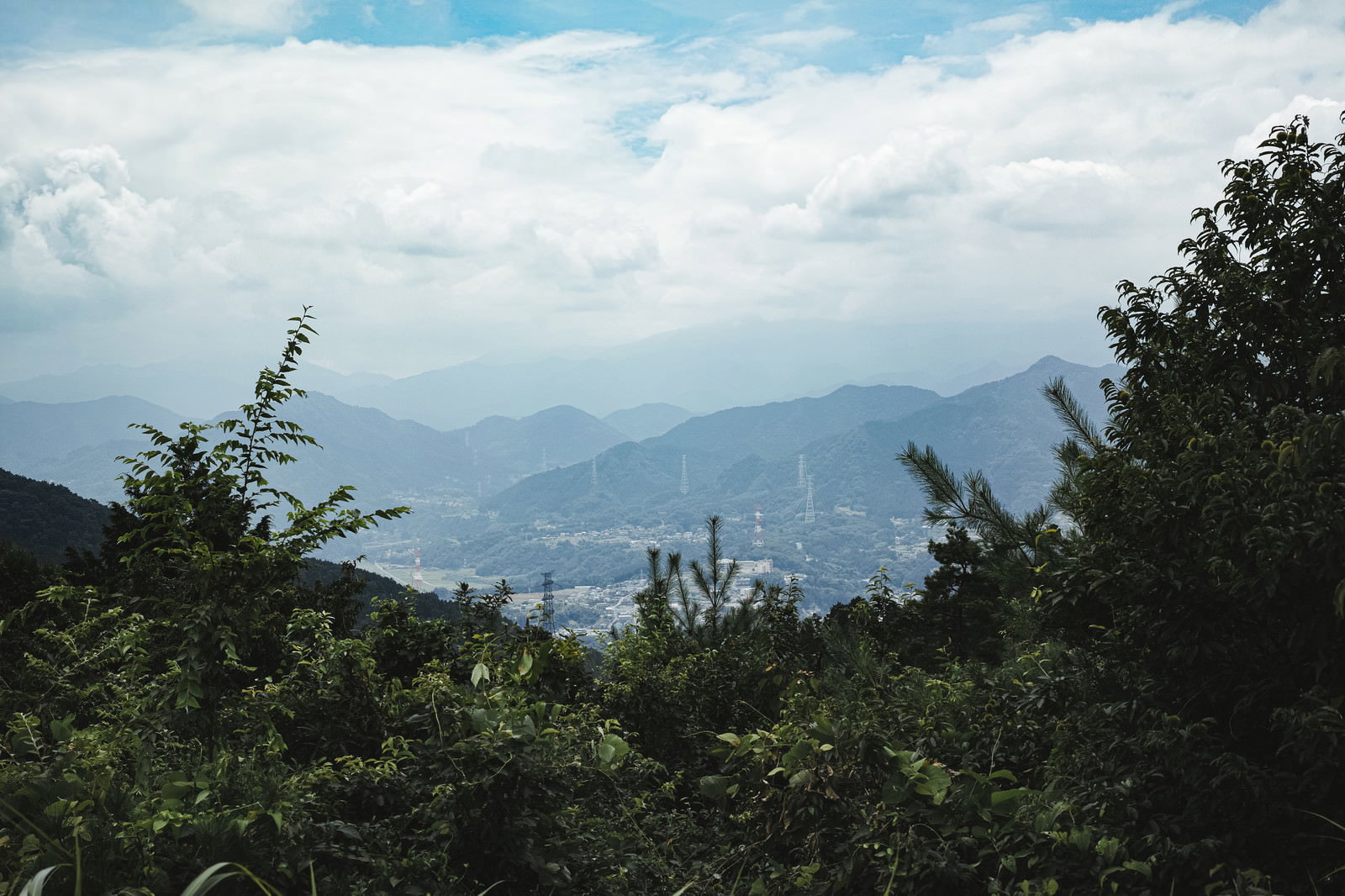 森の緑の木々越しに見える山間の町並みと雲が浮かぶ空