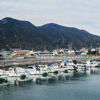 漁港に停泊する白い小型船舶と山並みの写真