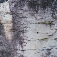 海辺の風化した岩肌のテクスチャーの写真