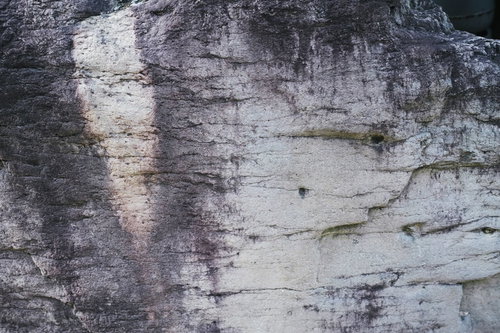 海辺の風化した岩肌のテクスチャー