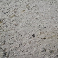 砂浜に残る無数の足跡とテクスチャーパターンの写真