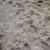 浜辺に残る無数の靴跡と足跡、砂浜に刻まれた様々な跡の写真