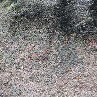 黒ずみが点在する岩肌のテクスチャーの写真