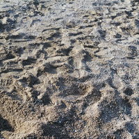 砂地に無数の足跡が残るでこぼこの地面と靴跡の痕跡の写真