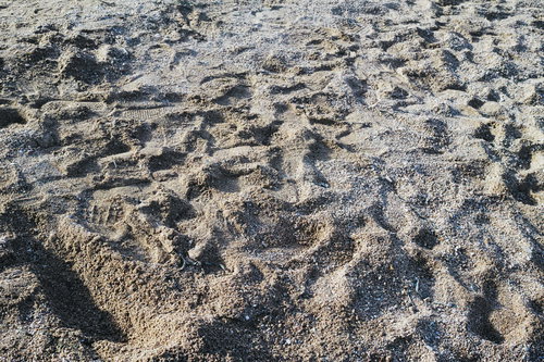 砂地に無数の足跡が残るでこぼこの地面と靴跡の痕跡