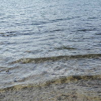 底が透けて見える透明な海面 浅瀬の砂浜と海底の写真