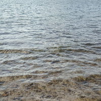 青い海面に浮かぶ細かい泡と波紋が広がる光景の写真