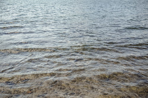 青い海面に浮かぶ細かい泡と波紋が広がる光景