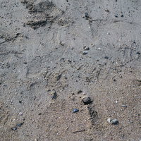濡れた砂地に残る足跡のテクスチャー写真の写真