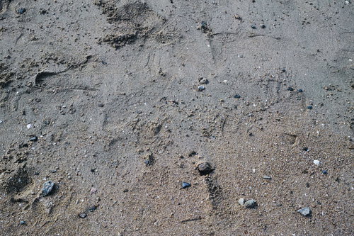 濡れた砂地に残る足跡のテクスチャー写真