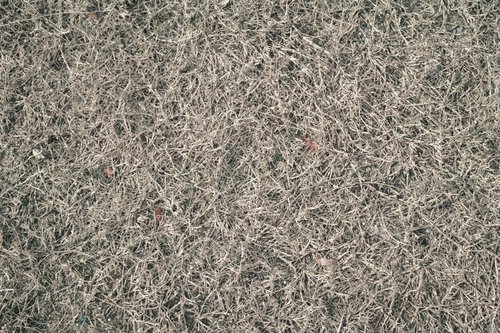地面に敷き詰められた枯草と雑草のテクスチャー