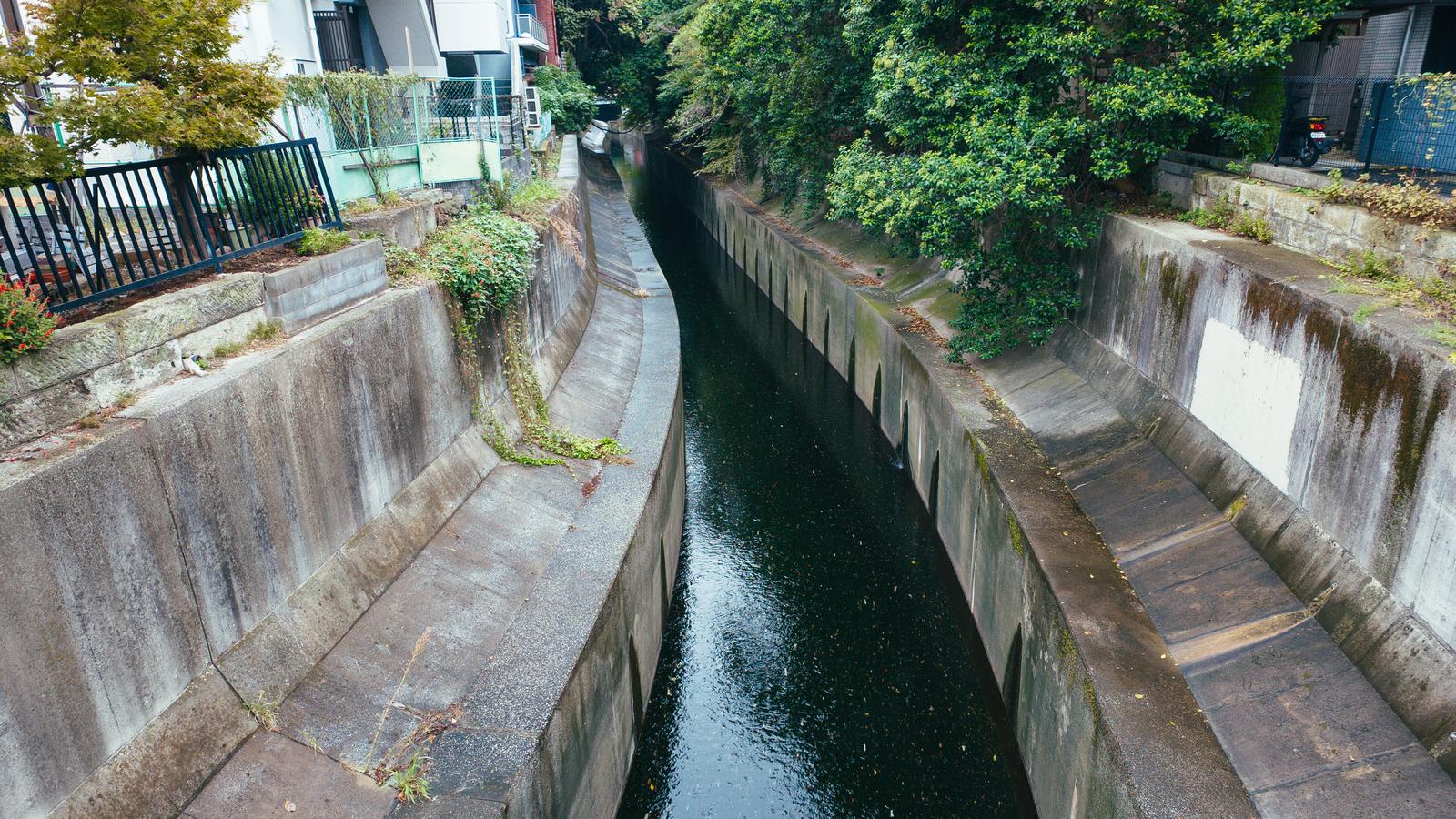 コンクリート護岸に囲まれた渋谷川が流れ、両側に緑の樹木が生い茂る住宅街