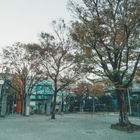 秋の吉原公園でブランコ遊びができる広場の風景の写真