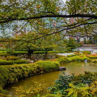 毛利甲斐守邸跡の池と秋の庭園、石垣と苔むした水辺の景観の写真