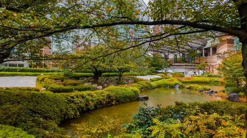 毛利甲斐守邸跡の池と秋の庭園、石垣と苔むした水辺の景観