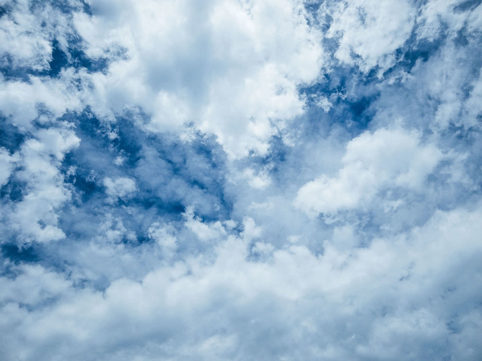 青い空に白と濃紺の積雲が浮かぶ天空の写真