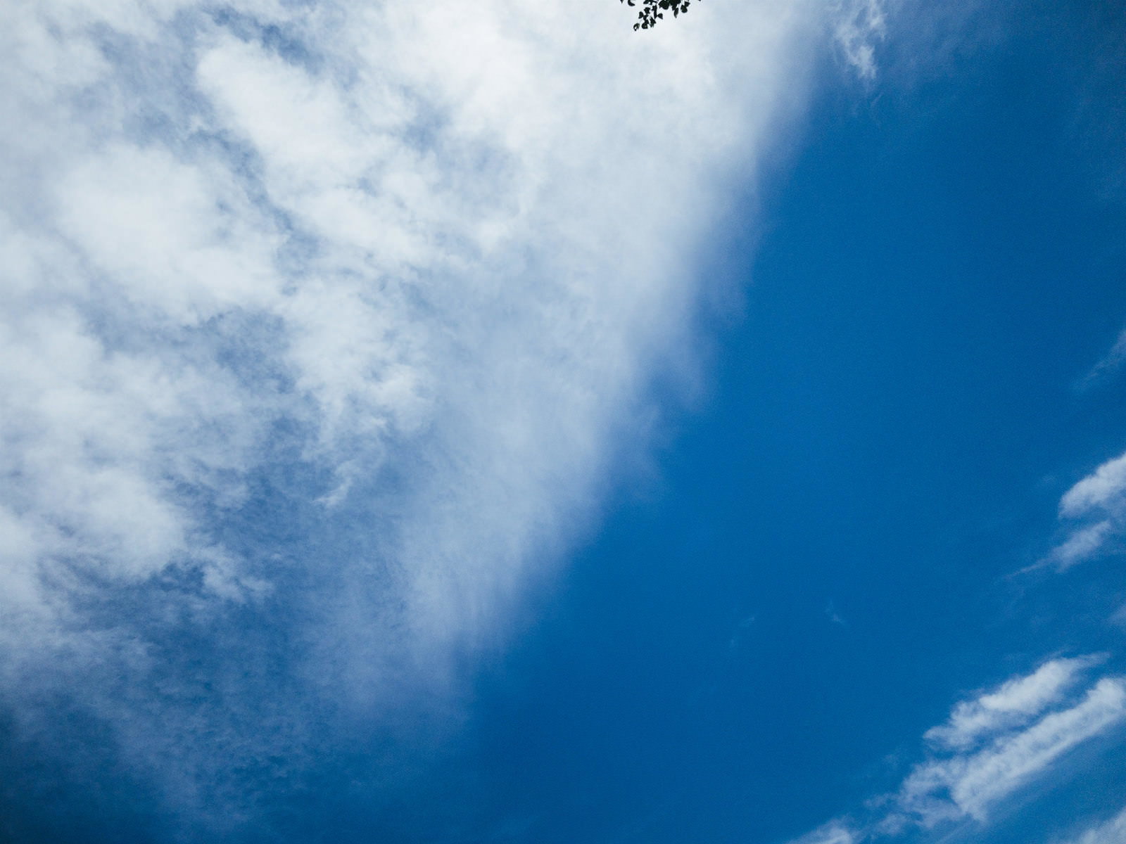 夏の青空を流れる白い雲