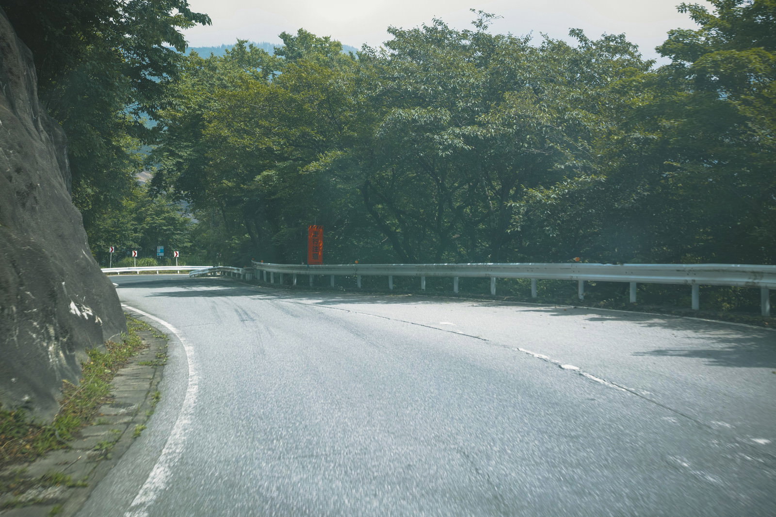 新緑の森に囲まれたいろは坂の緩やかなカーブを走る車道