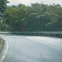 新緑に囲まれたいろは坂の緩やかなカーブの車道風景の写真