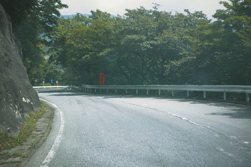 新緑に囲まれたいろは坂の緩やかなカーブの車道風景