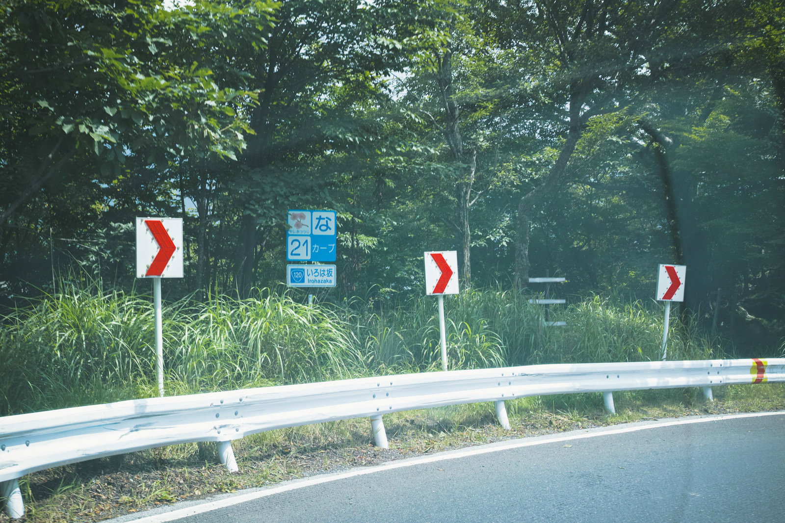 いろは坂の連続カーブに設置された赤白の矢印標識と白いガードレール