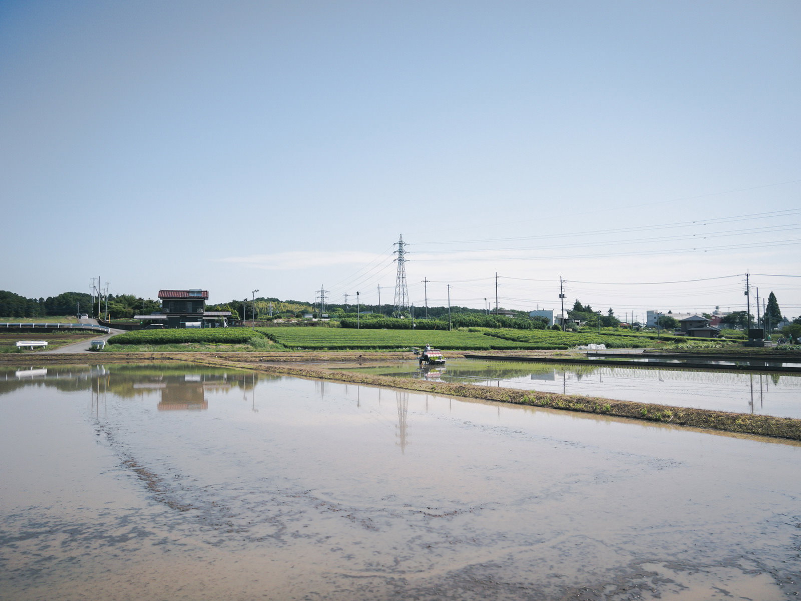 水を張った田んぼが広がる農村風景、水面に空が映る