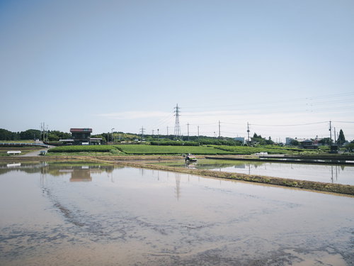 水を張った田植え時期の水田と農村風景