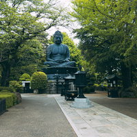 石畳の参道の先に鎮座する大仏と新緑に囲まれた寺院の境内風景の写真