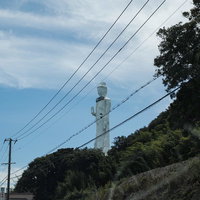 電線越しに見える淡路島の世界平和大観音像の写真