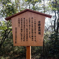 古鎌倉街道の歴史を記した説明看板と周辺の樹木の写真