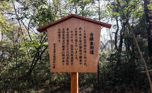 古鎌倉街道の歴史を記した説明看板と周辺の樹木