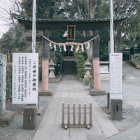 水源の守り神、南沢氷川神社の写真