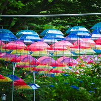 色とりどりの傘が織り成す幻想的な空中回廊の写真