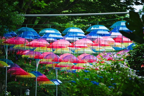 色とりどりの傘が織り成す幻想的な空中回廊