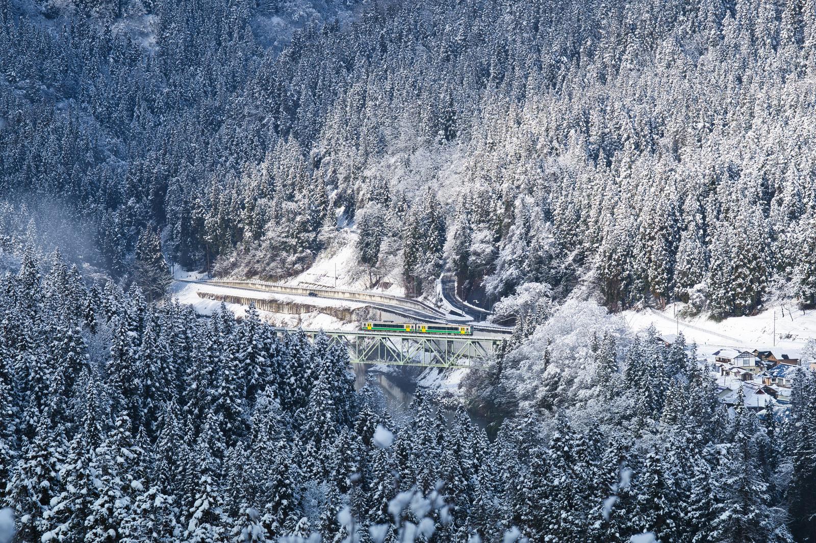 The winter landscape overlooking the valley surrounded by a snowcapped coniferous forest, with a yellow-green electric train running across a steel bridge.