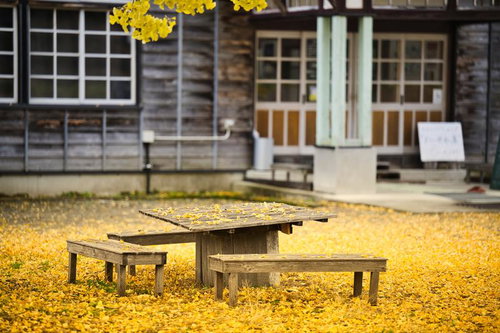 古い木製のテーブルとベンチに黄色いイチョウの葉が積もる秋の庭