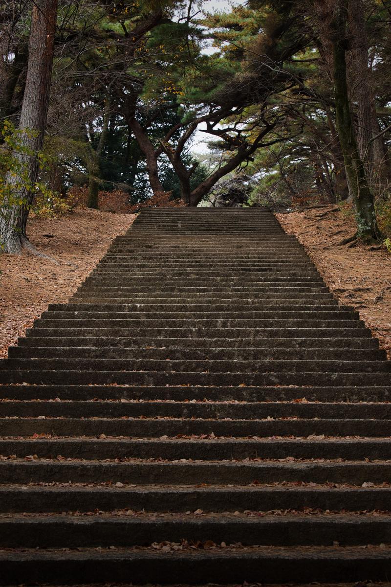 苔むした石段が続く杉林の参道、両側に樹齢の古い杉が立ち並ぶ